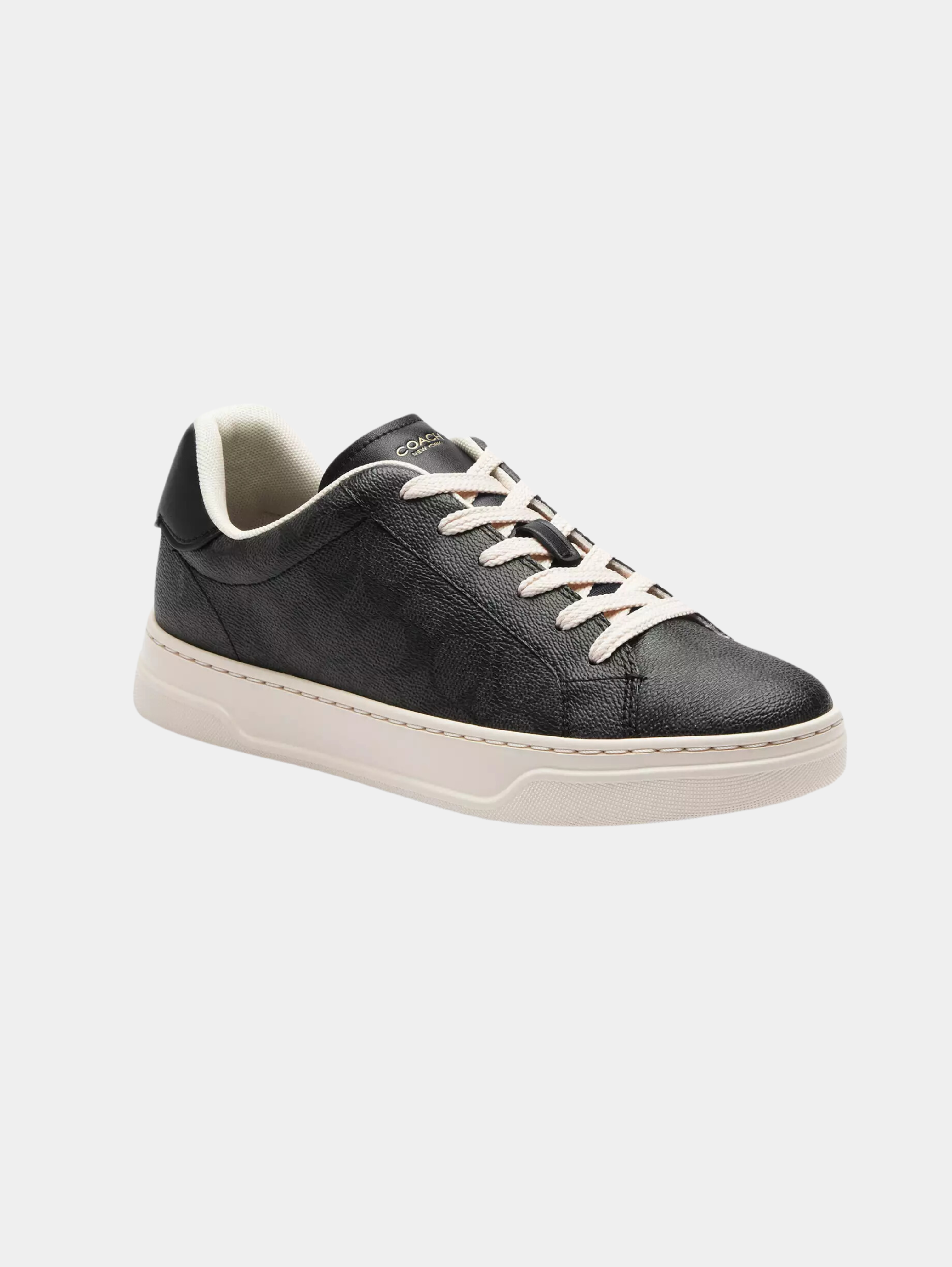 High Line Sneaker In Signature Canvas