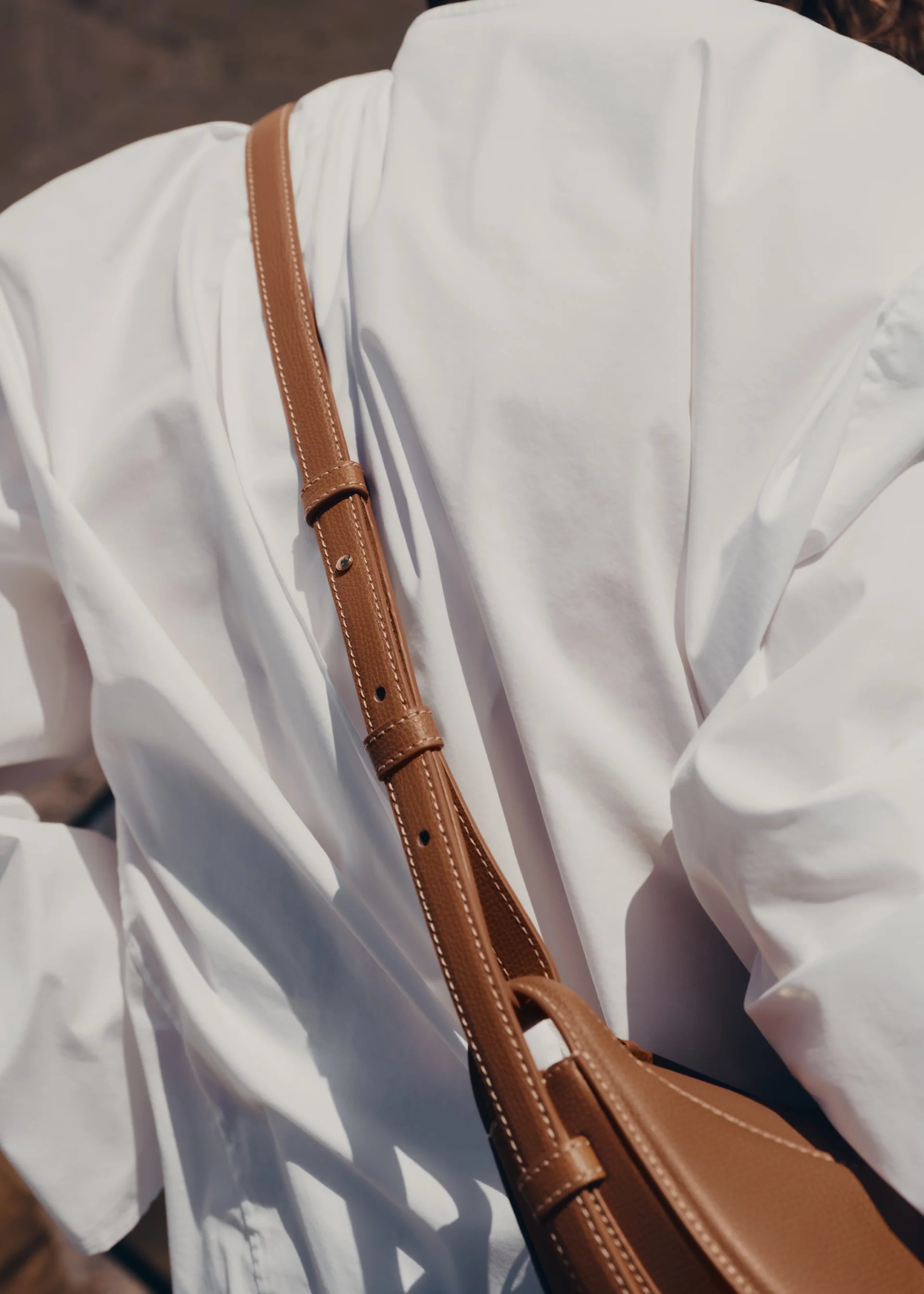 Numéro Dix Camel