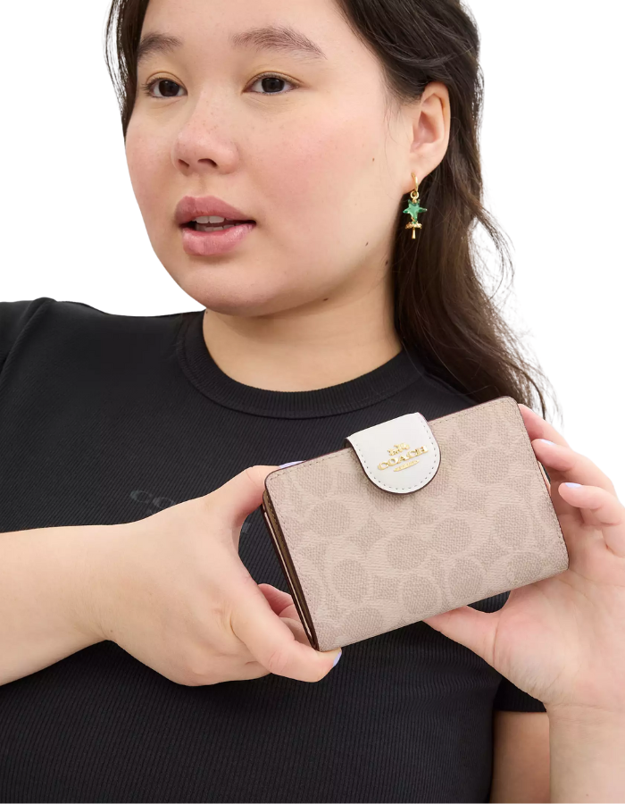 Medium Corner Zip Wallet In Signature Canvas