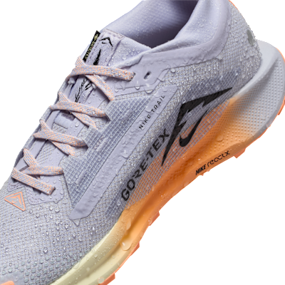 Nike Pegasus Trail 5 GORE-TEX