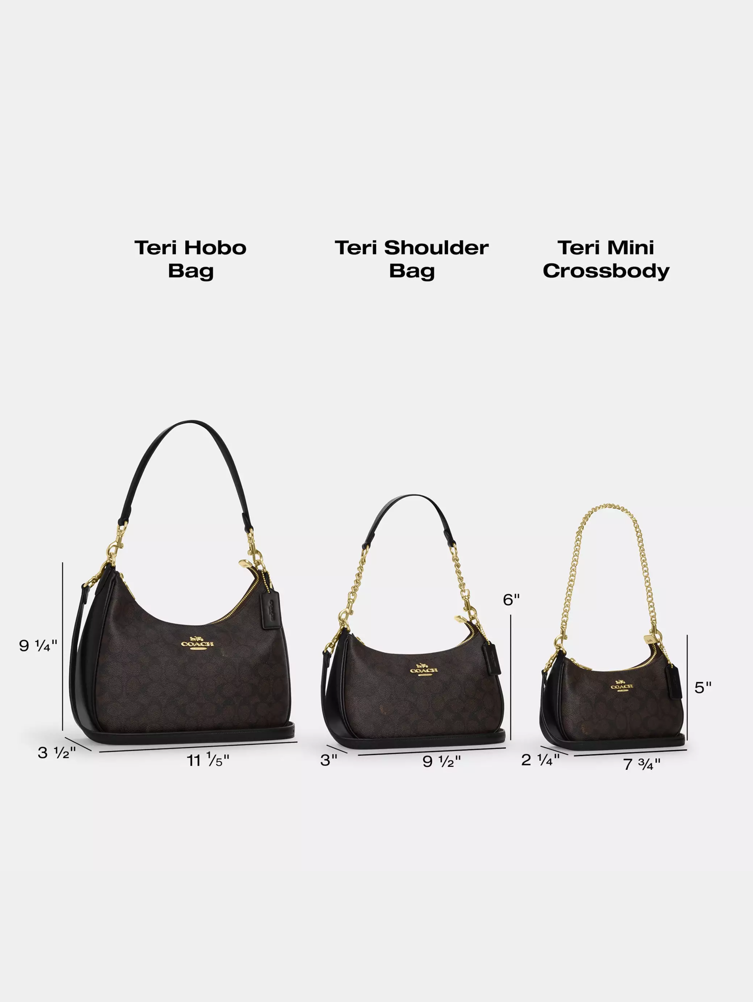 Teri Mini Crossbody Bag In Signature Canvas