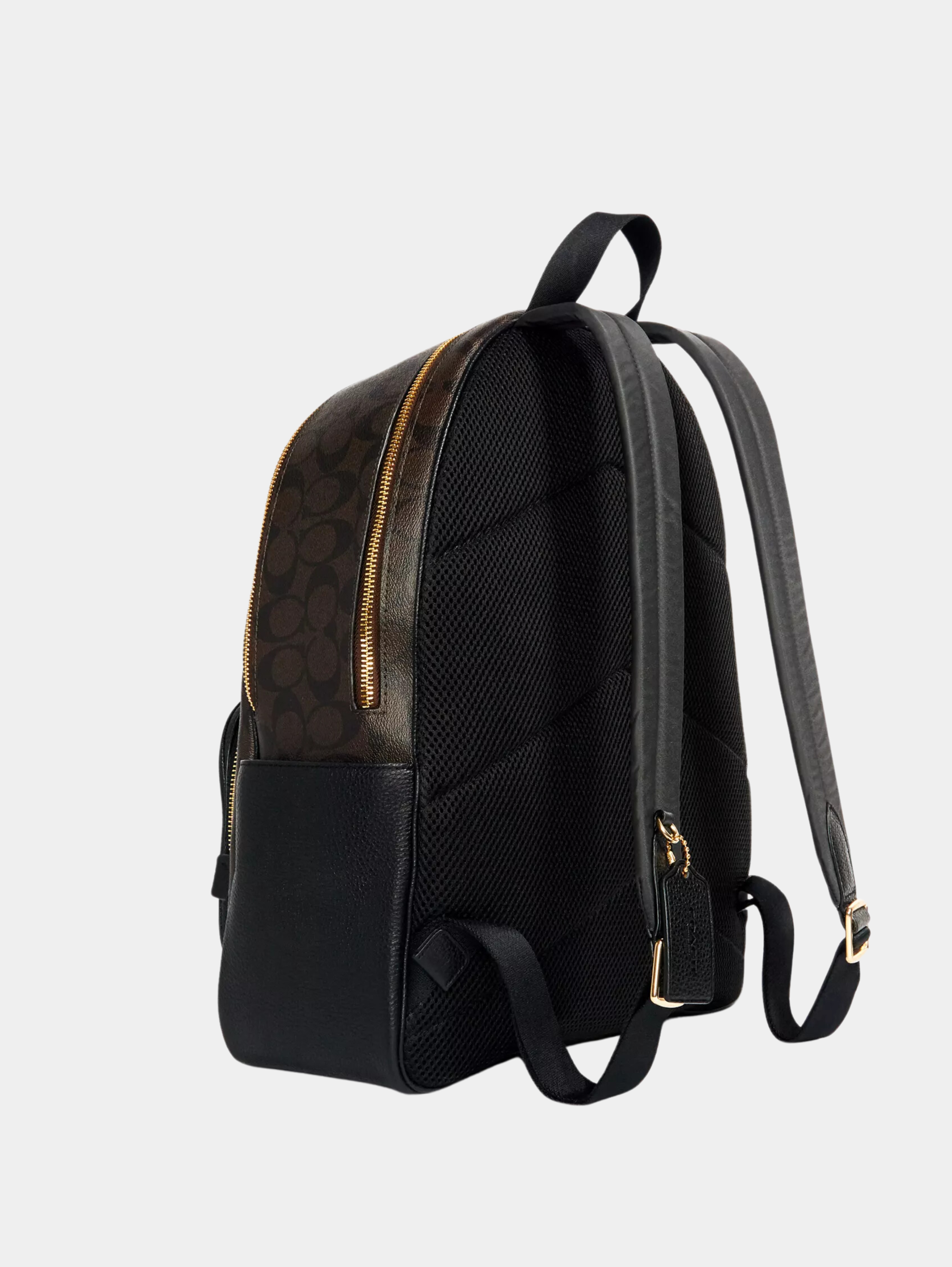 Large Court Backpack In Signature Canvas