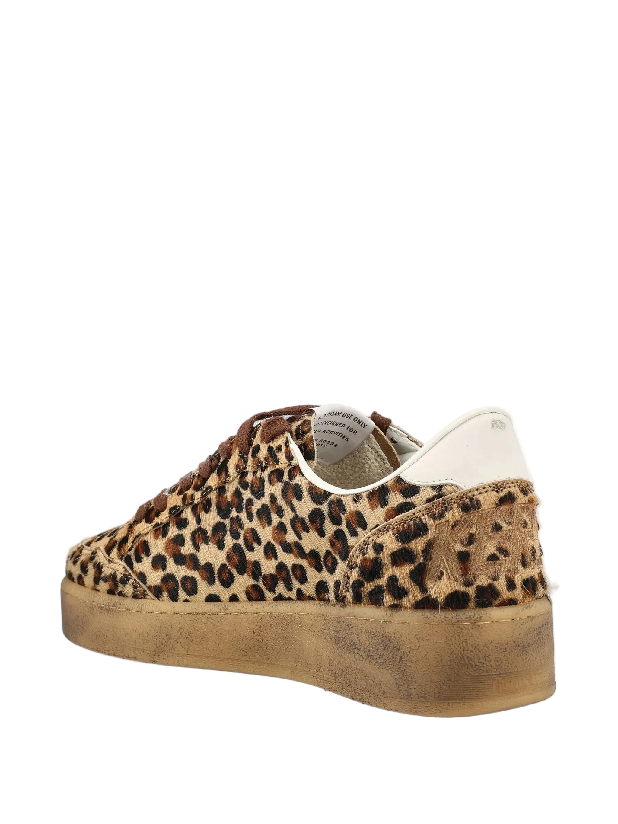 Leopard print sneaker on a white background