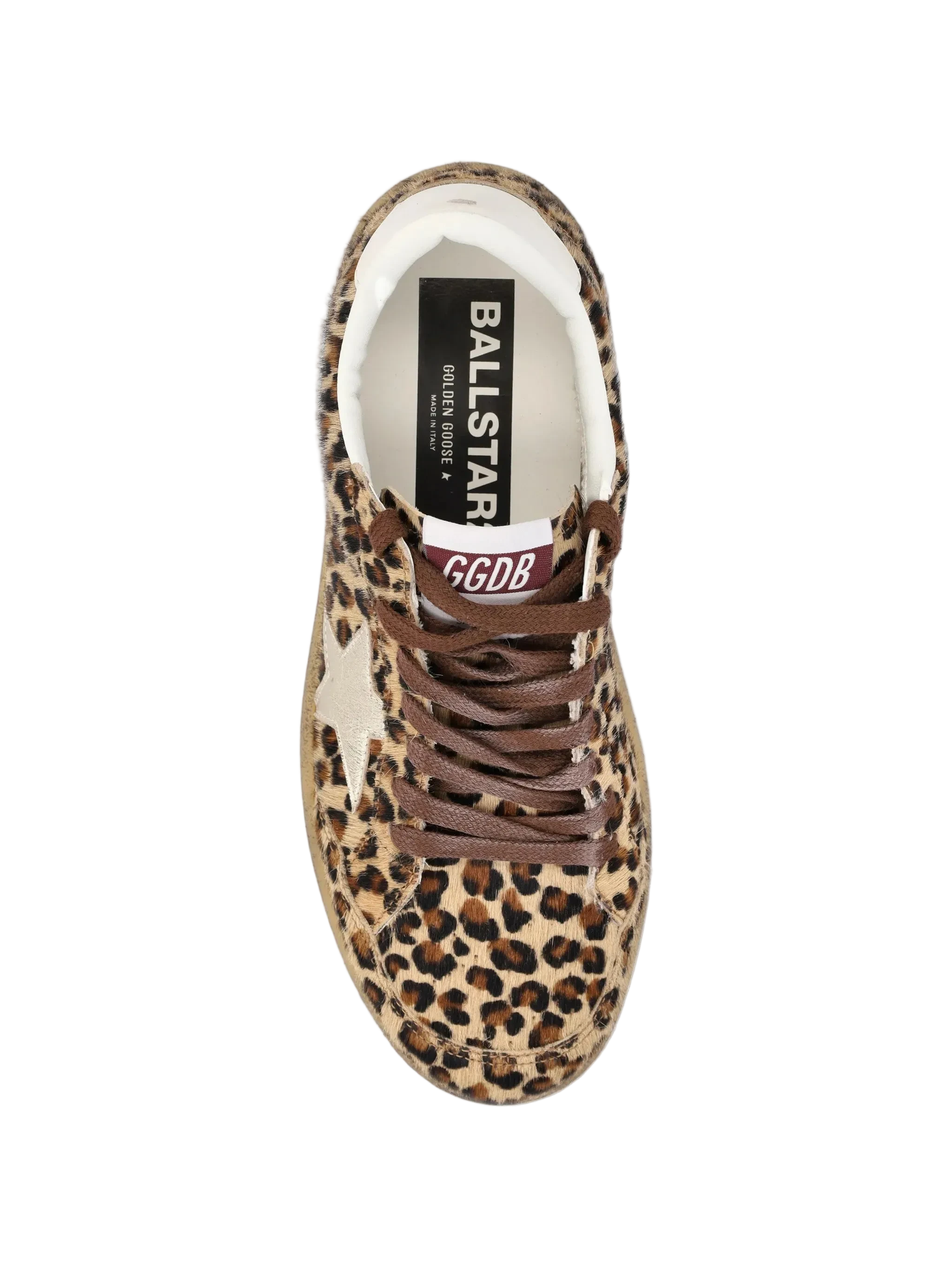 Leopard print sneaker with brown laces on a white background