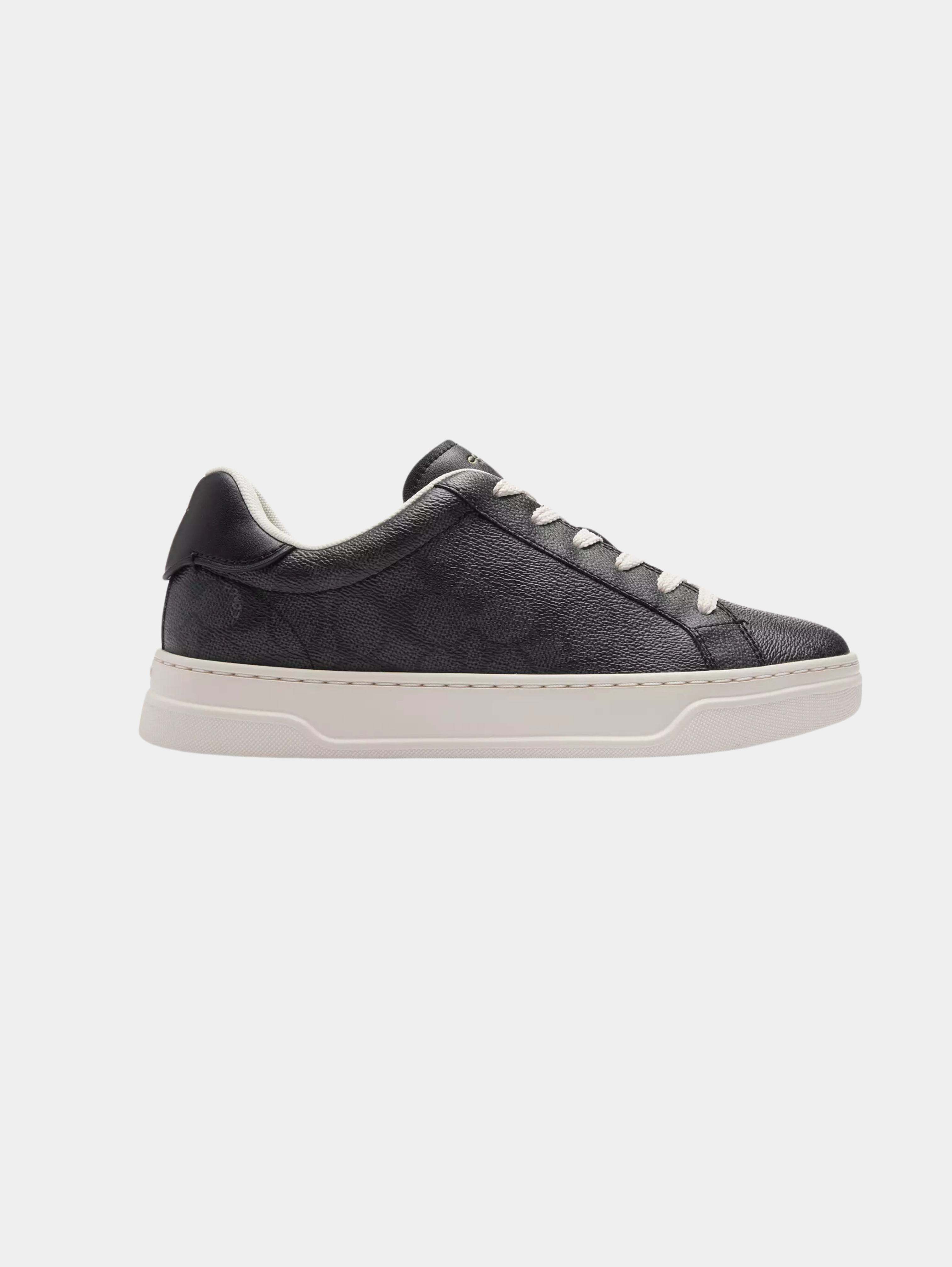 High Line Sneaker In Signature Canvas
