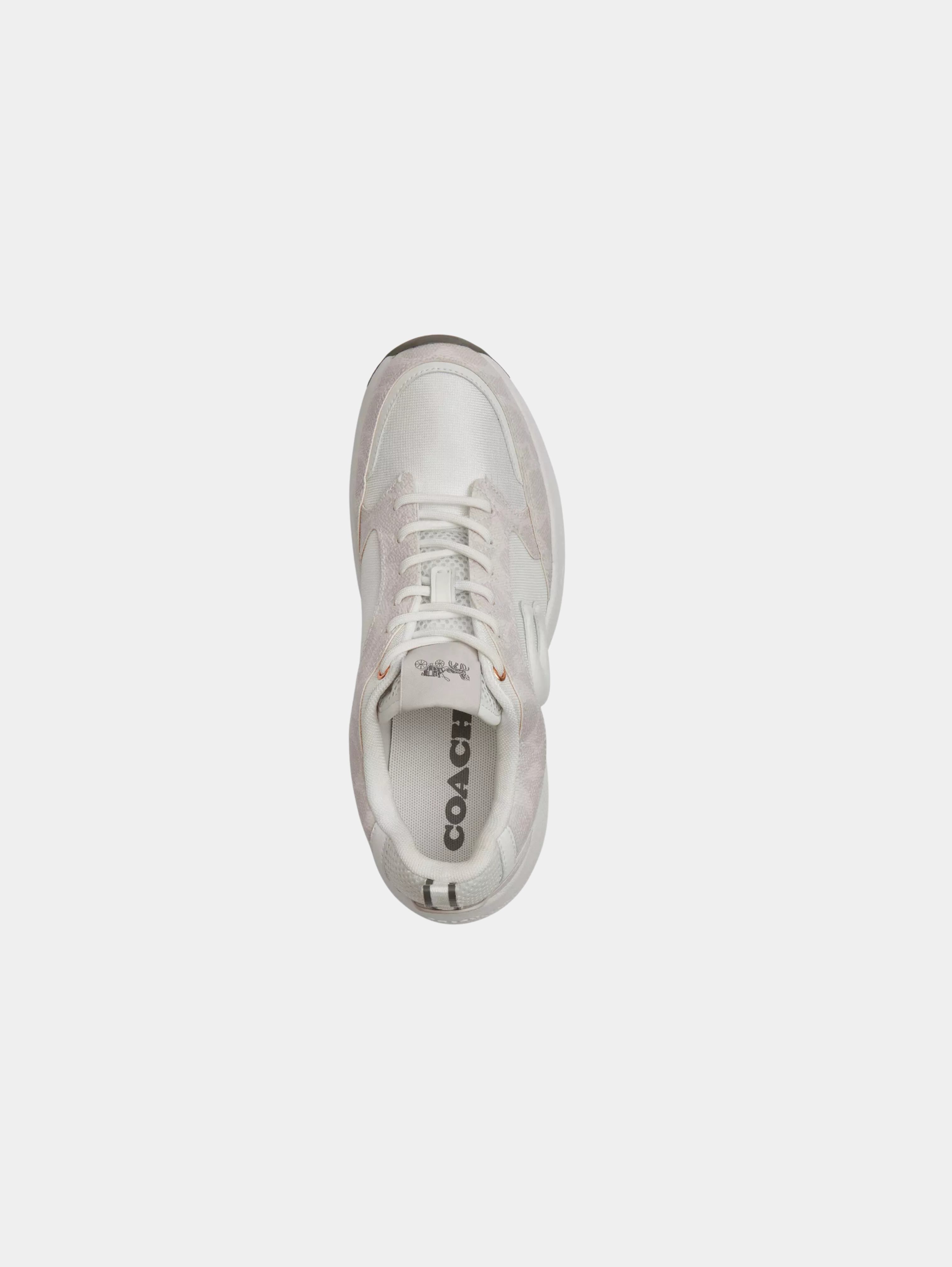 Strider Sneaker In Signature Canvas