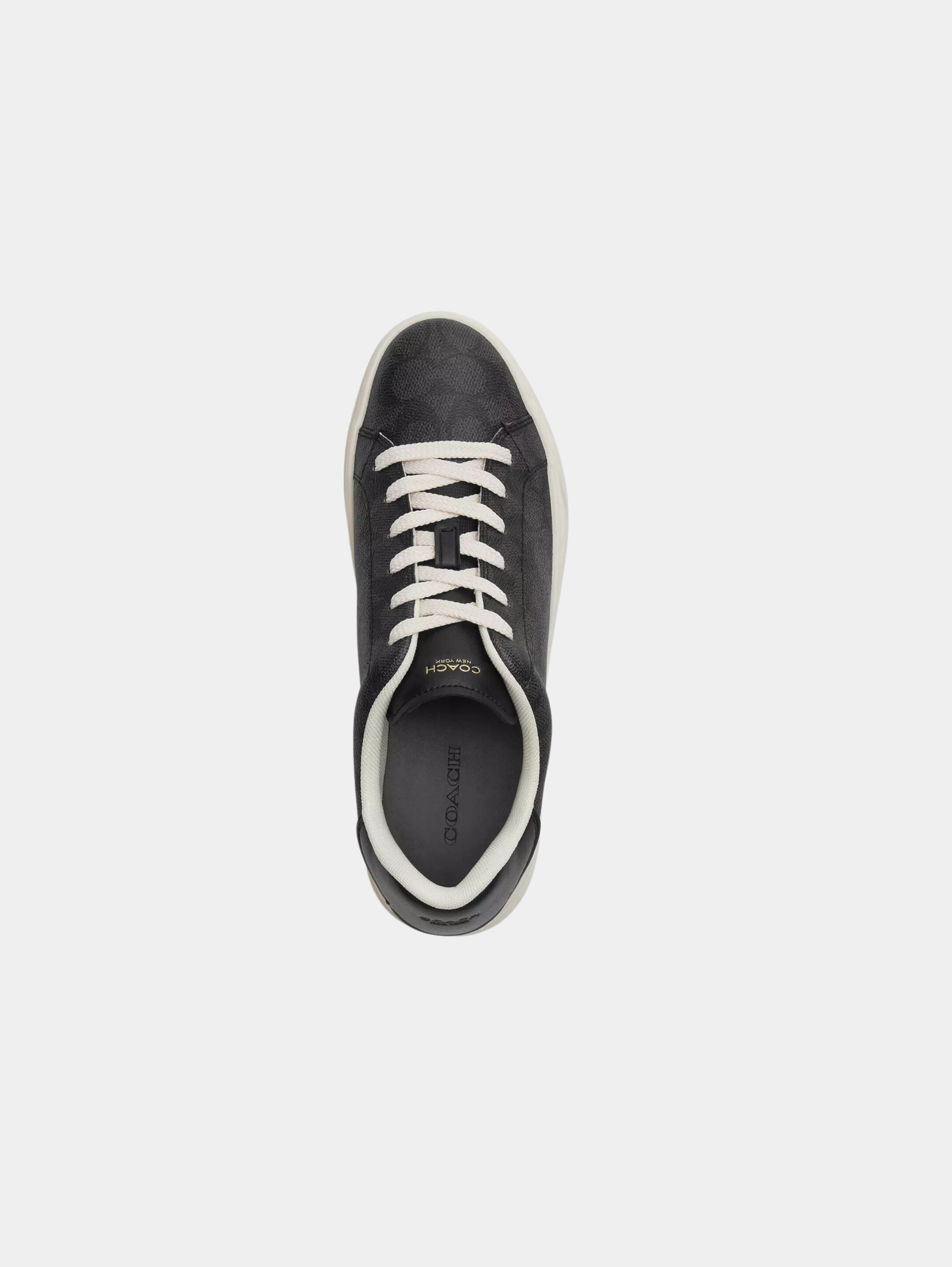 High Line Sneaker In Signature Canvas