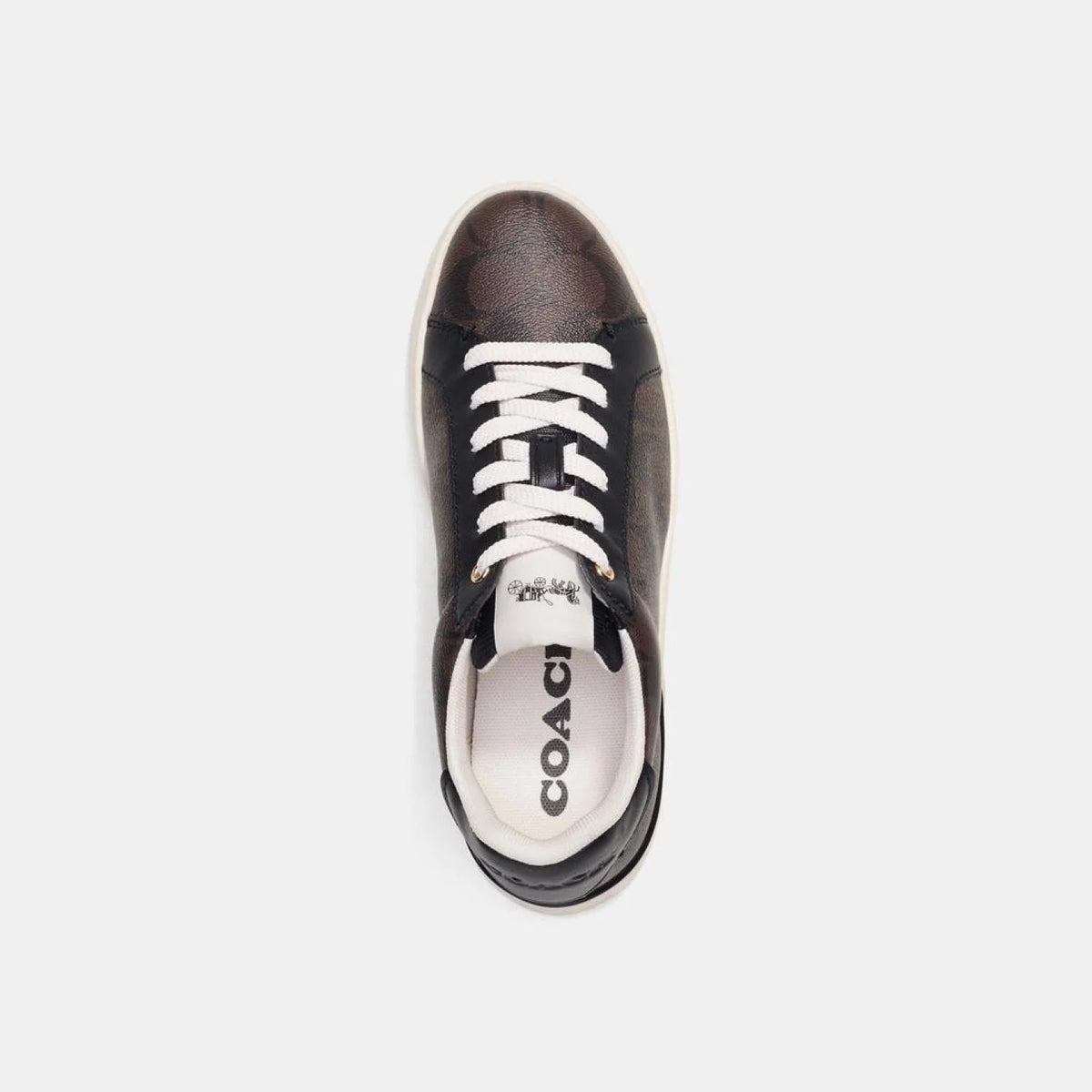 Clip Low Top Sneaker In Signature Canvas