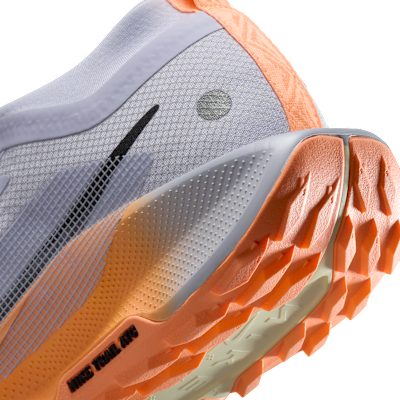 Nike Pegasus Trail 5 GORE-TEX